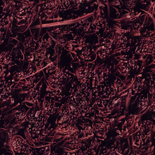 Kokosmat Bordeaux op maat Kokosmat Bordeaux op maat