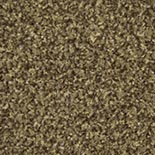 Forbo Coral Classic 4774 (Khaki) Standaardmaat Forbo Coral Classic 4774 (Khaki) Standaardmaat