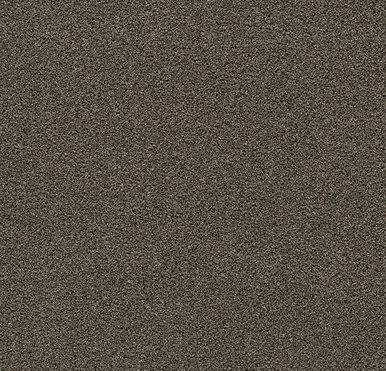 Forbo Coral Bright | 2604 Virgin Sand | Taupe droog- en schoonloopmat | Op maat gesneden | 8,5 mm