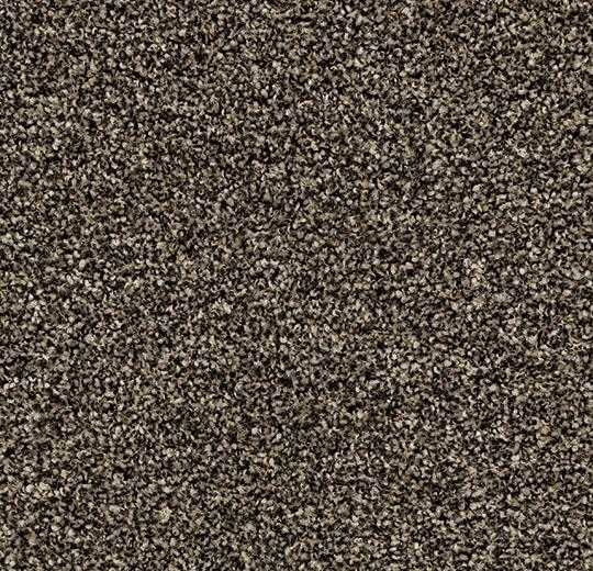 vliegtuigen kleding Blijkbaar Forbo Coral Bright | 2604 Virgin Sand | Taupe droog- en schoonloopmat | Op maat gesneden vliegtuigen kleding Blijkbaar Forbo Coral Bright | 2604 Virgin Sand | Taupe droog- en schoonloopmat | Op maat gesneden