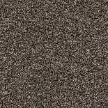 Forbo Coral Bright | 2604 Virgin Sand | Taupe droog- en schoonloopmat | Op maat gesneden | 8,5 mm