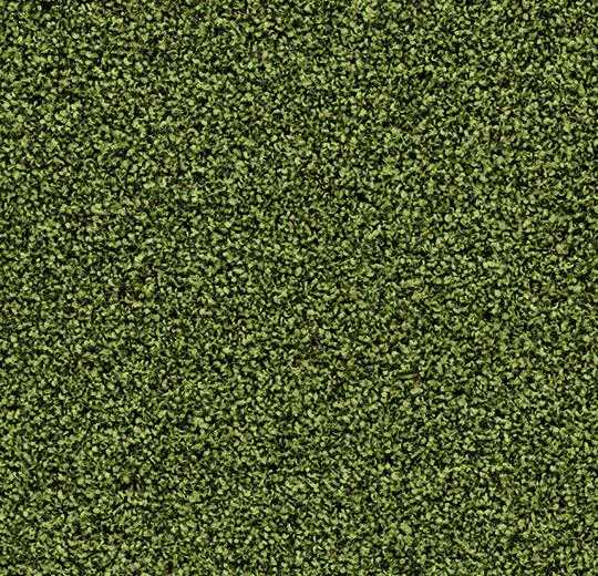 verschil Voorman Almachtig Forbo Coral Bright | 2608 Fresh Grass | Groene droog- en schoonloopmat | Op  maat gesneden