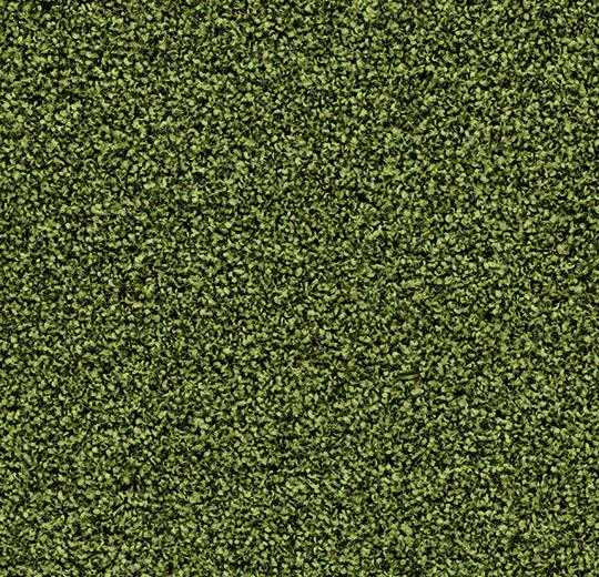 verschil Voorman Almachtig Forbo Coral Bright | 2608 Fresh Grass | Groene droog- en schoonloopmat | Op maat gesneden verschil Voorman Almachtig Forbo Coral Bright | 2608 Fresh Grass | Groene droog- en schoonloopmat | Op maat gesneden