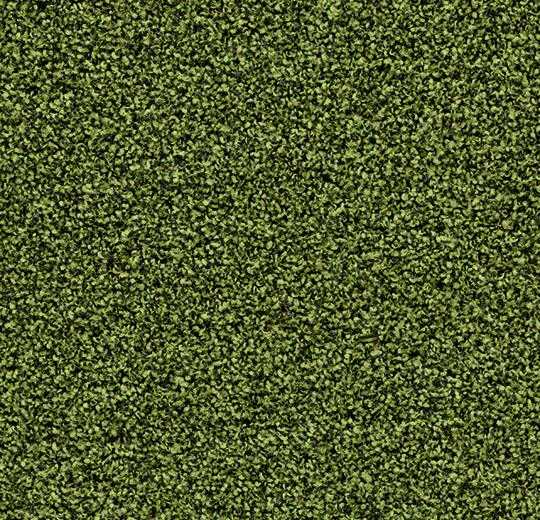 Laag bagageruimte Fobie Forbo Coral Bright | 2608 Fresh Grass | Groene droog- en schoonloopmat | Op  maat gesneden