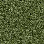 Forbo Coral Bright | 2608 Fresh Grass | Groene droog- en schoonloopmat | Standaard maten | 8,5 mm
