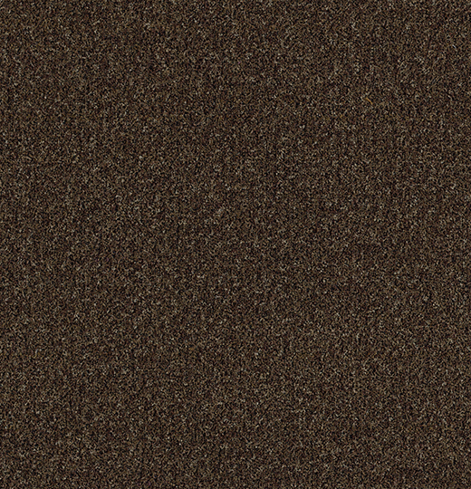 Forbo Coral Brush 5774 (Biscotti Brown) op maat