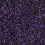 Forbo Coral Brush Pure 5709 (Royal Purple) Standaardmaat Forbo Coral Brush Pure 5709 (Royal Purple) Standaardmaat