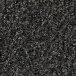 Forbo Coral Brush Pure 5721 (Hurricane Grey) op maat