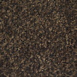 Forbo Coral Brush Pure 5724 (Chocolate Brown) standaardmaat