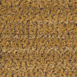 Forbo Coral Brush Pure 5754 (Straw Brown) Standaardmaat Forbo Coral Brush Pure 5754 (Straw Brown) Standaardmaat