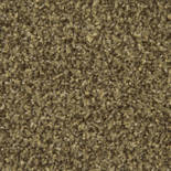 Forbo Coral Classic 4774 (Khaki) op maat Forbo Coral Classic 4774 (Khaki) op maat