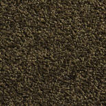 Hamat Twister 574 Wasbare Droogloopmat Teak 012 (standaardmaat) | 10 mm dik Hamat Twister 574 Wasbare Droogloopmat Teak 012 (standaardmaat) | 10 mm dik