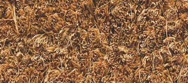 Septem Deurmat Blauwe Bloemen Vuilvangende Buitenmatten Absorberend Modderbestendig